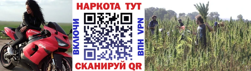 Наркота Макаров АМФЕТАМИН  A-PVP  Меф мяу мяу  ГАШ  Бошки Шишки  Кокаин 