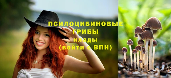 гашик Мегион