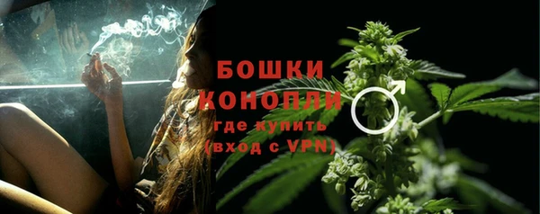 бошки Белокуриха