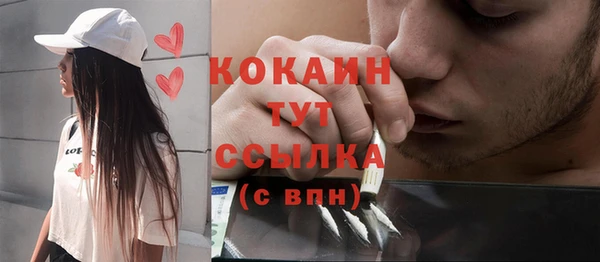 индика Михайловка