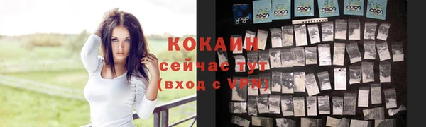 индика Михайловка