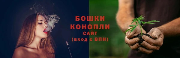 гашик Мегион