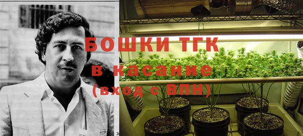 индика Михайловка